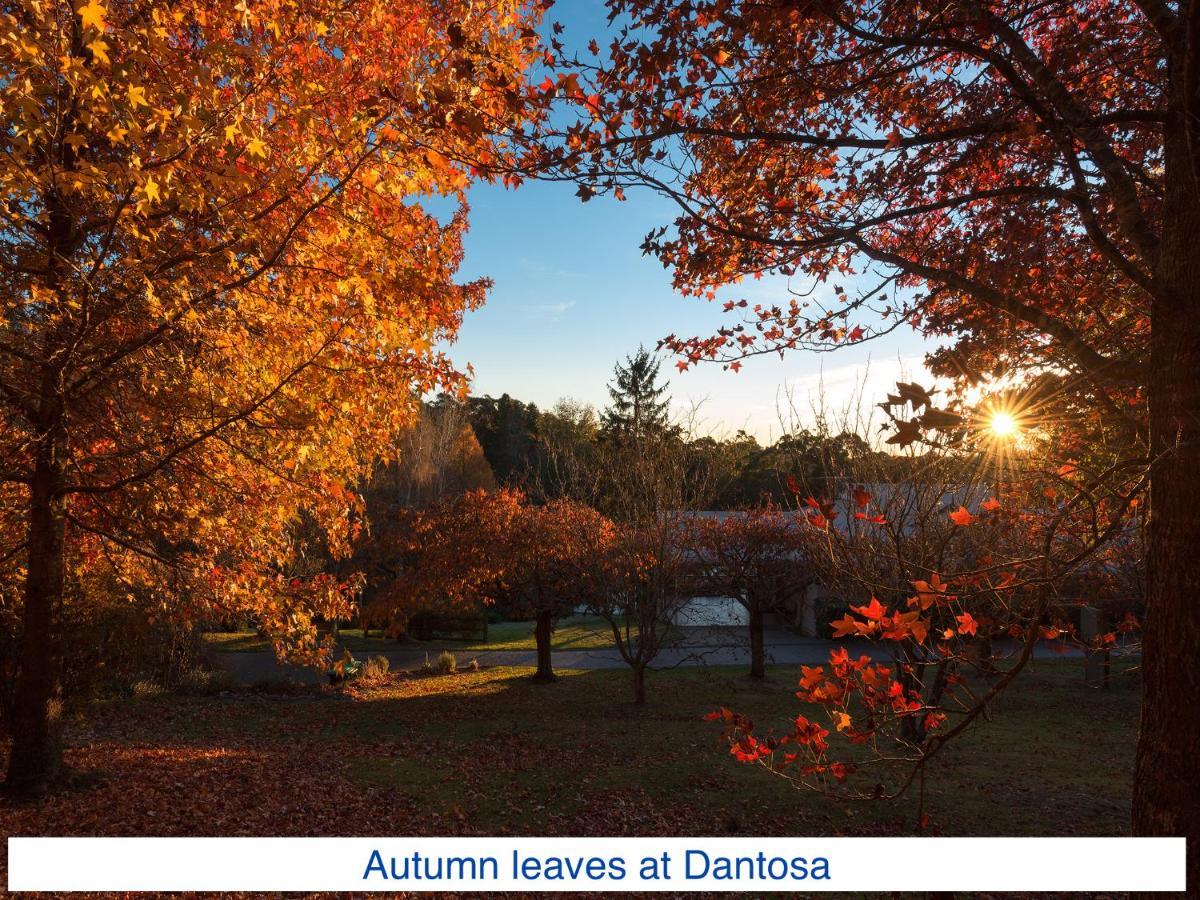 Dantosa Blue Mountains Retreat Villa Katoomba Luaran gambar