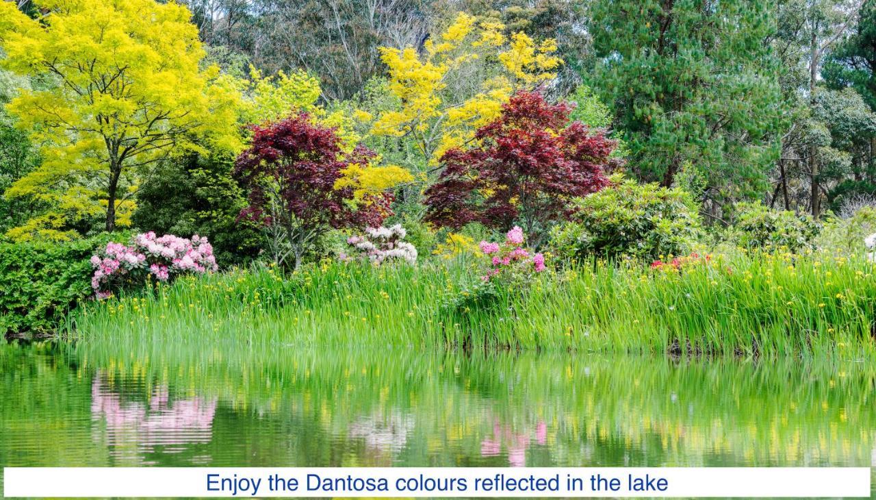 Dantosa Blue Mountains Retreat Villa Katoomba Luaran gambar