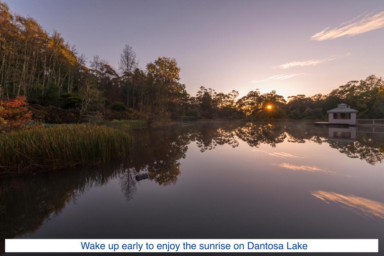 Dantosa Blue Mountains Retreat Villa Katoomba Luaran gambar