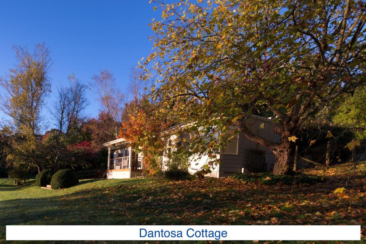 Dantosa Blue Mountains Retreat Villa Katoomba Luaran gambar